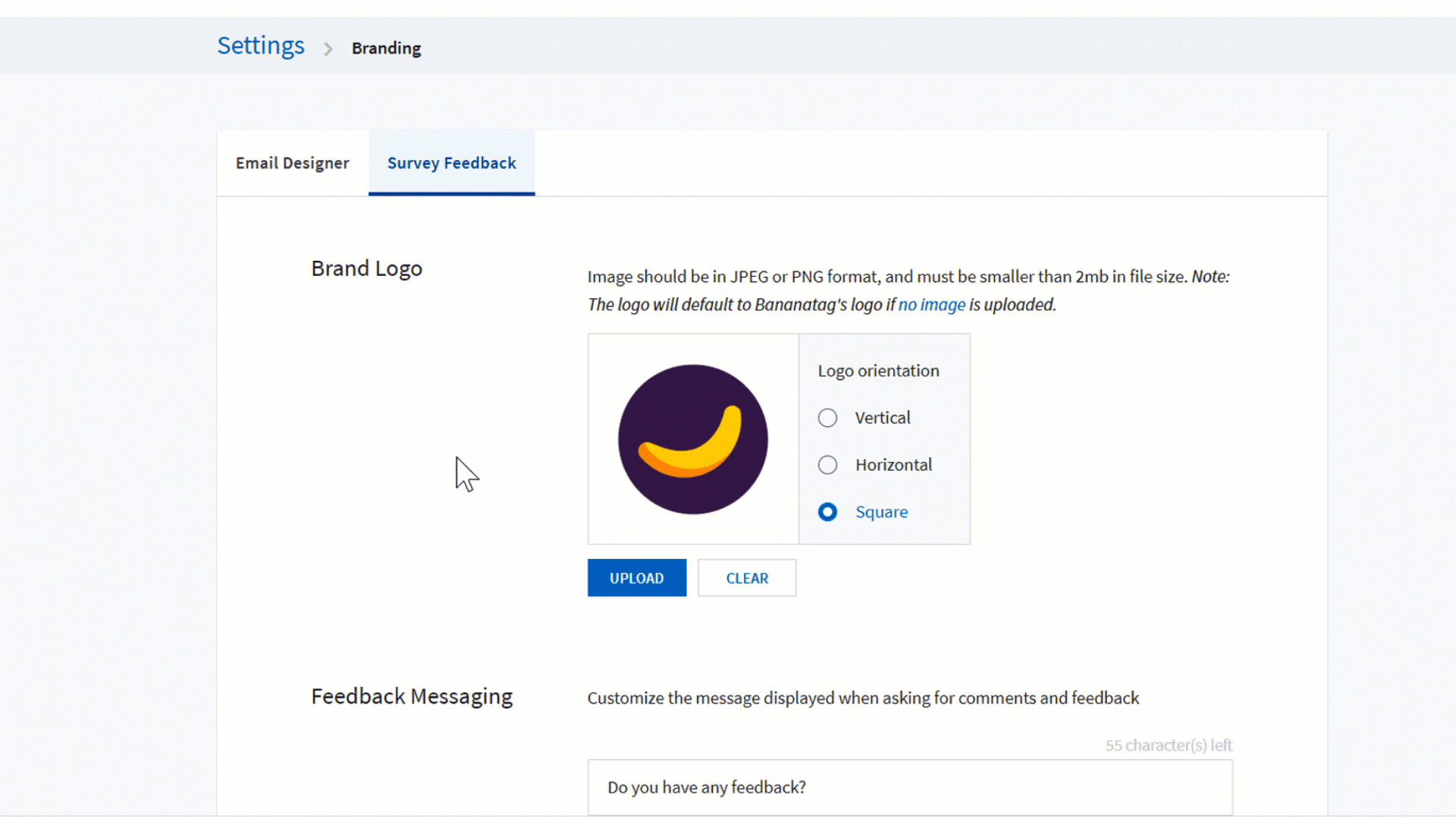 Brand_Settings_Nav_Survey_Logo_crop.gif