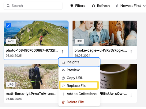 Replace File.png