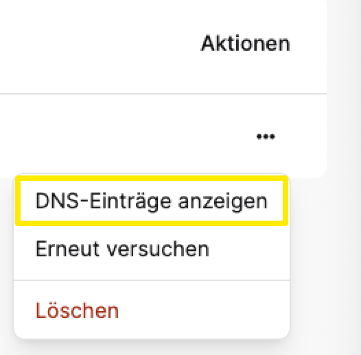 DNS anzeigen.png