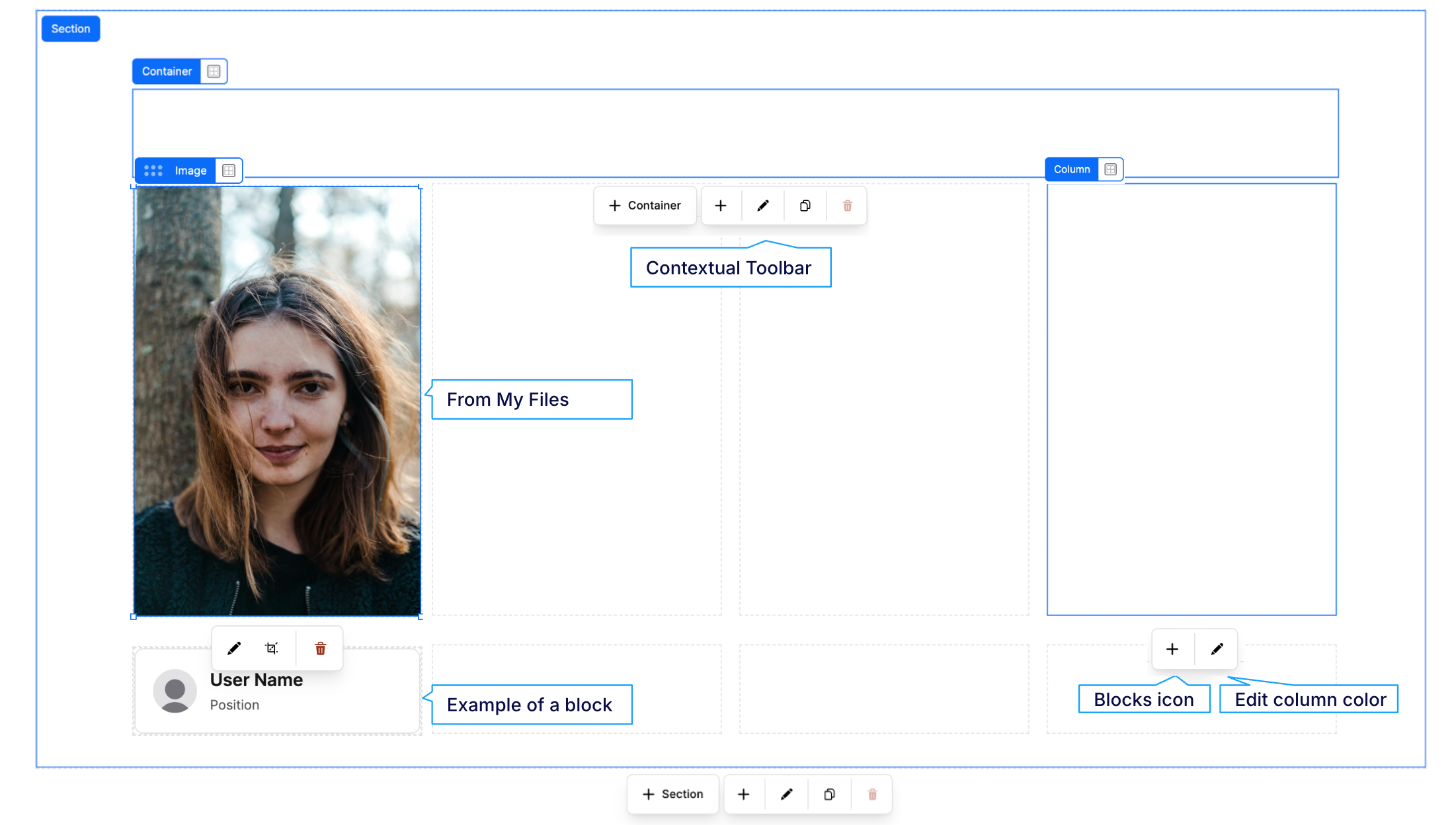 Elements in the Content Designer