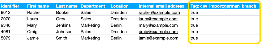 Partial_CSV_Tag_Export.png