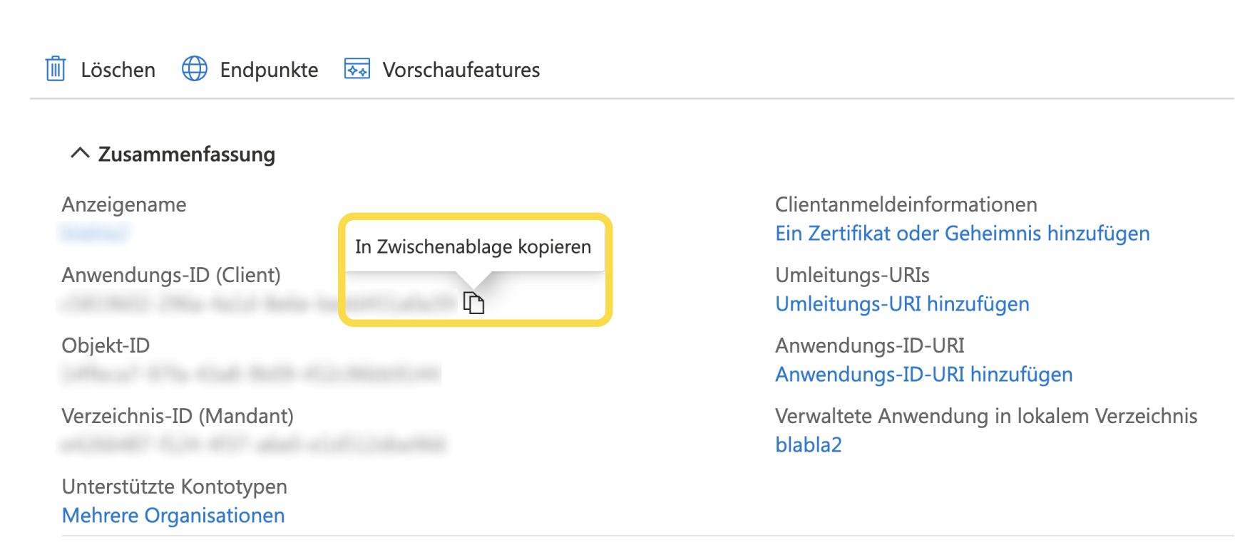 Anwendungs-ID__Client__kopieren_DE.png